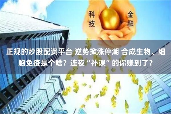 正规的炒股配资平台 逆势掀涨停潮 合成生物、细胞免疫是个啥？连夜“补课”的你赚到了？