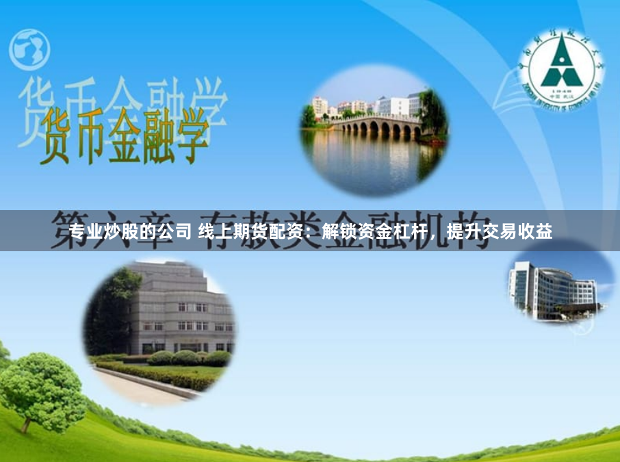 专业炒股的公司 线上期货配资：解锁资金杠杆，提升交易收益