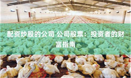 配资炒股的公司 公司股票：投资者的财富指南