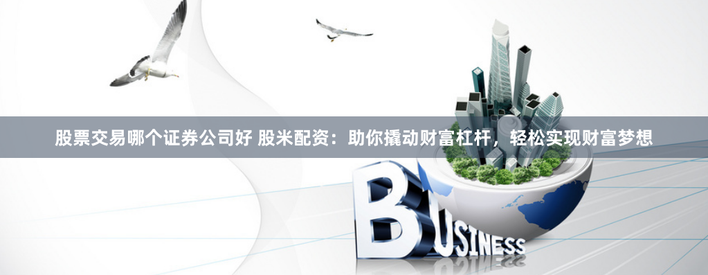 股票交易哪个证券公司好 股米配资：助你撬动财富杠杆，轻松实现财富梦想